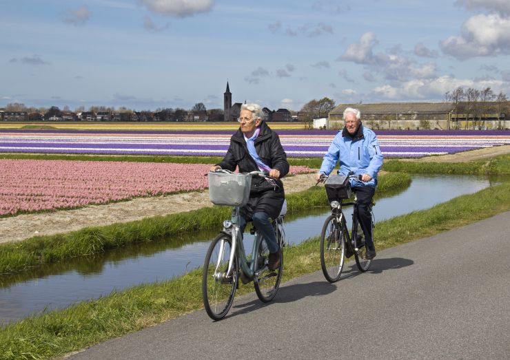 Twee oudere mensen fietsen samen langs een veld vol tulpen.